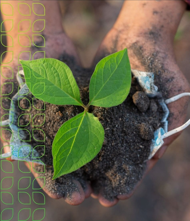 Mustadam Centre for Environment image